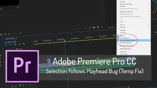 Selection Follows Playhead Bug (TEMP FIX) | Adobe Premiere Pro CC
