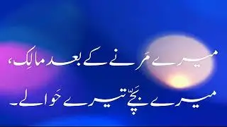 MERE MAALIK -  MALE MUSIC 2