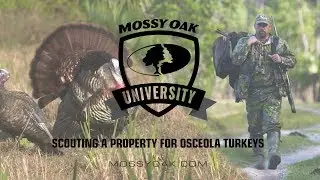 Scouting A Property For Osceola Turkeys