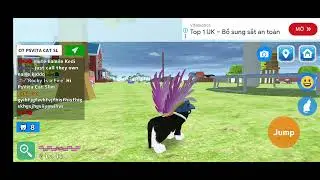 Role play cat sim Myan: Rocky is a Fire bully me. Is Ps2 and Ps5 Pro not Wii U cat and PsVita Cat