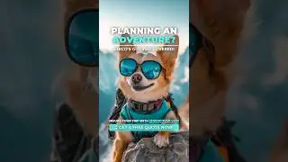 ✈️ Secure Your Adventure with Chico Cover Travel Insurance! 🧳