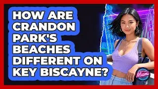 How Are Crandon Park's Beaches Different On Key Biscayne? - Everything About Miami