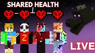 Shared Health Minecraft Speedrun 🔴LIVE
