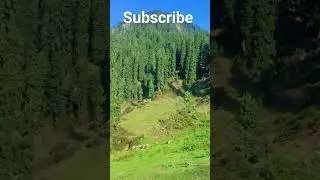 kalam North Pakistan #shorts #dhowcruise #travel #viral #nature