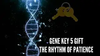 Gene Key 5 Gift The Rhythm of Patience