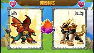 NEW BREEDING: High Tension Dragon & High Realm Dragon [EXCLUSIVE BREEDING]