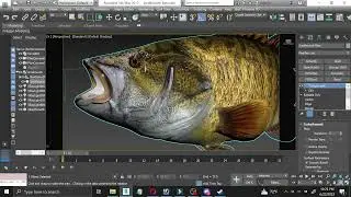 The Fisher Online using my fish models :D