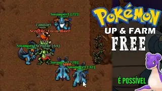 TOP 5 hunts para FREE ACCOUNT no PokemonBR | XP e LOOT (PARTE 01)