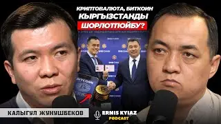 Кыргызстандын экономикасы чын эле өнүгүп атабы? | Калыгул Жунушбеков | Ernis Kyiaz Podcast