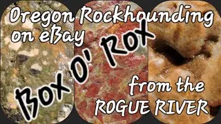 Oregon Rock Hunting on eBay: Jasper, Jade, Rhyolite, Obsidian, Bullseye Agate, Rogue River