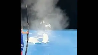 it's not magic,its good bowmanship😃 #shorts #subscribe #short #funny #love #live #like #viral #share