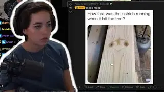 Maya reacts to memes and art made by viewers - Reddit Recap