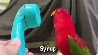 Red Bird calls Lady Dimitrescu