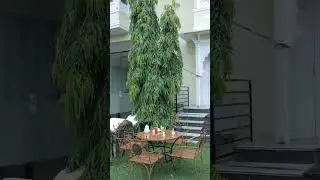 🌿 Wake Up to Nature &ndash; Garden Super Deluxe Room at Everest Hill Resort, Kumbhalgarh 🌄