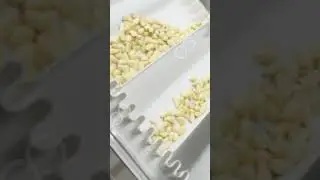 Garlic Paste Processing Line For Dried Garlic