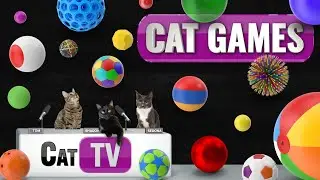 КОТ-игры | Ultimate Ball Bonanza: более 70 шаров с забавными звуковыми эффектами! ⚽🏀⚾🎾 | Собака ТВ