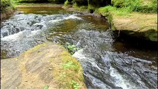 Perry Creek