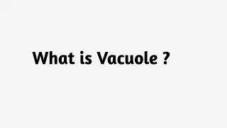 What is Vacuole ?