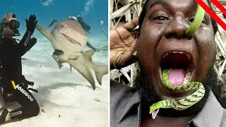 Heartwarming WILD Animal Encounters