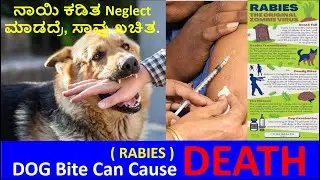 Dog & cat Bite treatment By  Victoria hospital Doctors.Death Rates More By Rabies ,vaccine is must