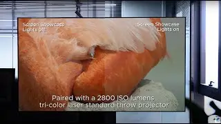 How to Assemble WUPRO Cinema Gallery Evo Fixed Frame Screen | Setup Guide/Tutorial
