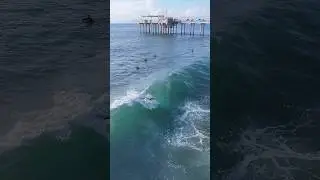 San Diego Surfing #dronevideo #shortvideo #lajollashores #sandiegosurf #surfsandiego