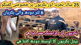 (1038)Ziada DODH wali Nasal ki Desi Bakriyan/ 6 liter Dodh wali bakriyan 