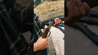 Beretta 686 pigeon #canada #berettaca#overunder#shorts #shotgun#gunculture #sidhumoosewala #hunting