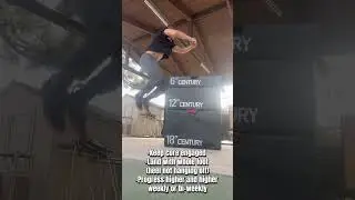 Box Jumps: Form, Technique, Tips