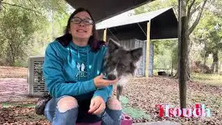 Touch cue