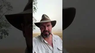 The meaning of mist on a summer morning