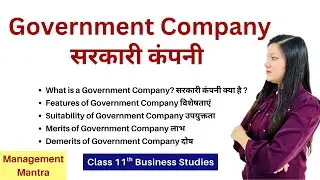 Government Company - Private, Public and Global Enterprises | Class 11 Business Studies | Chapter 3