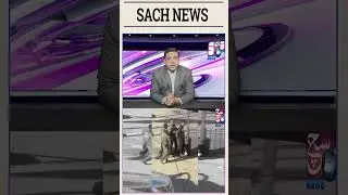 Hyderabad Ka Ahmed Naami Naujawan America Mein Pakda Gaya | Chicago Breaking News