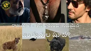 &ldquo;Rajamouli Goes Real &ndash; Not CGI!&ldquo;SSMB29 Shooting in Africa&rdquo;