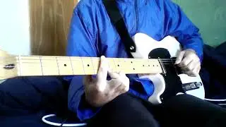 шампур - кровать цветов -guitar cover-