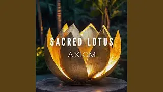 Sacred Lotus