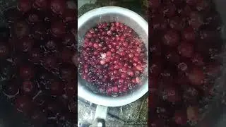 Falsa sharbat recipe | Falsa squash recipe | Falsay ka  juice