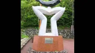 4.Muroto-city, Kochi prefecture.  （高知県室戸市）