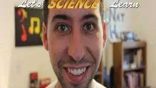 Misconception Week: Science Misconceptions