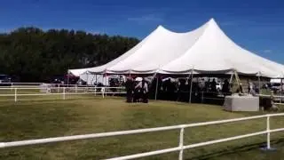 Afghan Breed Class Grande Prairie Kennel Club June 26,2016