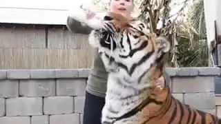 Wildlife Addiction