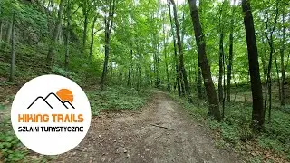 🇵🇱 Jura Krakowsko-Częstochowska: WĄWÓZ OSTRYSZNI / Kraków-Częstochowa Upland: OSTRYSZ GORGE