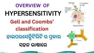 Hypersensitivity Explained | Gell & Coombs Classification | Types I to IV I Immunology I In Odia