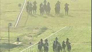 The Great Cherisma Plate Div-1 Winner UCKY PINEAPPLE  NOV 28 2018