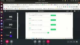 How to make Full screen Google Meet