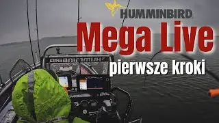 Łowienie nie dla każdego ▪️ Mega Live i szukanie zimnych sandaczy.