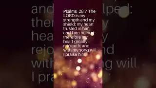 Bible verses about believing and trusting God #godlyliving #christianworshipsongs #hillsongworship