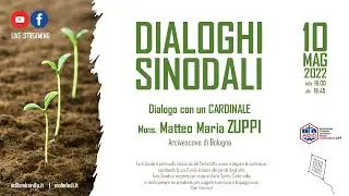 Dialoghi Sinodali | Cardinale MATTEO ZUPPI