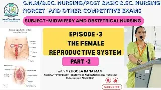 Female Reproductive System Explained in Hindi | PART 2 I Nursing Students