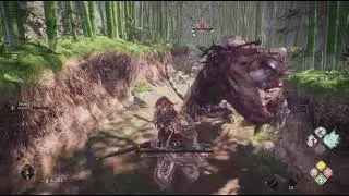 Wo Long: Fallen Dynasty In the Search of the Immortal Wizard